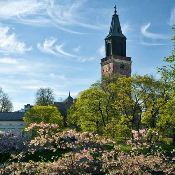 turku gezi rehberi